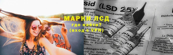кокс Арсеньев